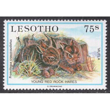 LESOTHO SCOTT 462