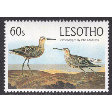 LESOTHO SCOTT 485