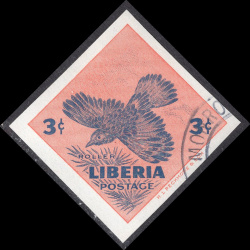 LIBERIA SCOTT 342
