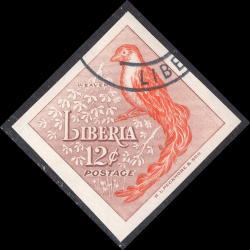 LIBERIA SCOTT 346