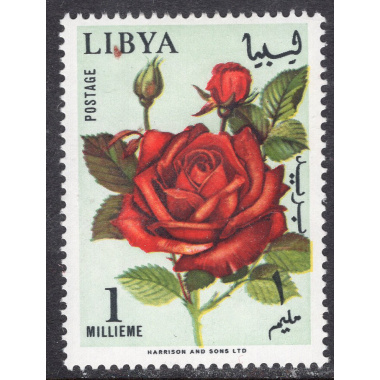 LIBYA SCOTT 284