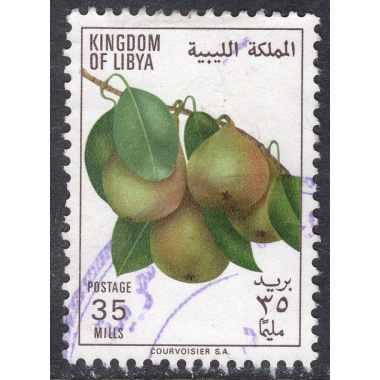 LIBYA SCOTT 355
