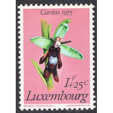 LUXEMBOURG SCOTT B303