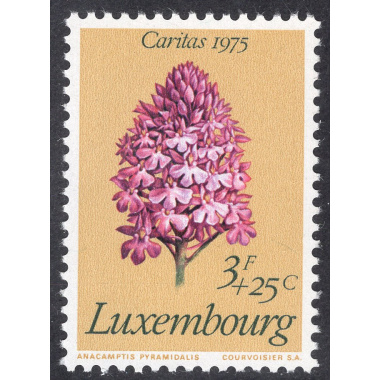 LUXEMBOURG SCOTT B304