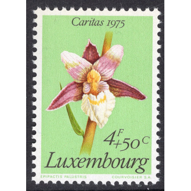 LUXEMBOURG SCOTT B305