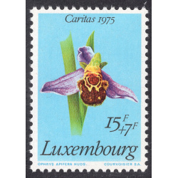 LUXEMBOURG SCOTT B307