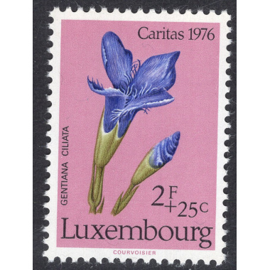 LUXEMBOURG SCOTT B308