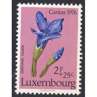 LUXEMBOURG SCOTT B308