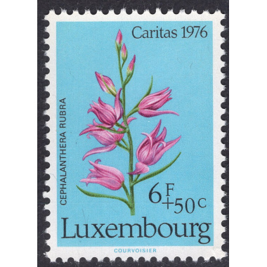 LUXEMBOURG SCOTT B310