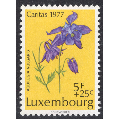 LUXEMBOURG SCOTT B314