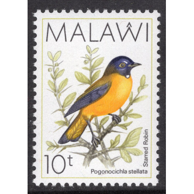MALAWI SCOTT 523