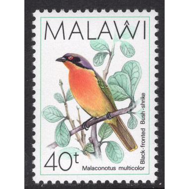 MALAWI SCOTT 527
