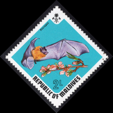MALDIVE ISLANDS SCOTT 448