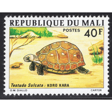 MALI SCOTT 252