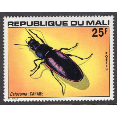 MALI SCOTT 309