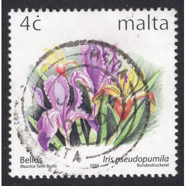 MALTA SCOTT 984