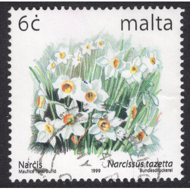 MALTA SCOTT 985