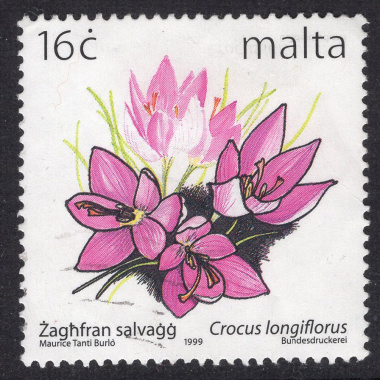 MALTA SCOTT 986