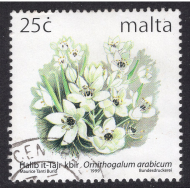 MALTA SCOTT 987