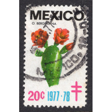 MEXICO LOT 27
