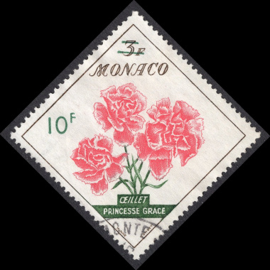 MONACO SCOTT 439