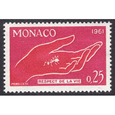 MONACO SCOTT 482
