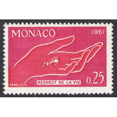 MONACO SCOTT 482