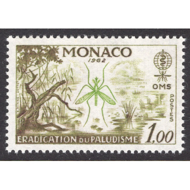 MONACO SCOTT 504