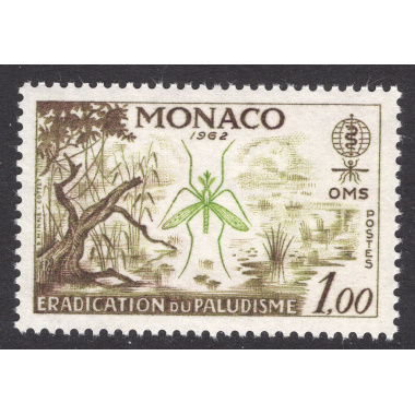 MONACO SCOTT 504