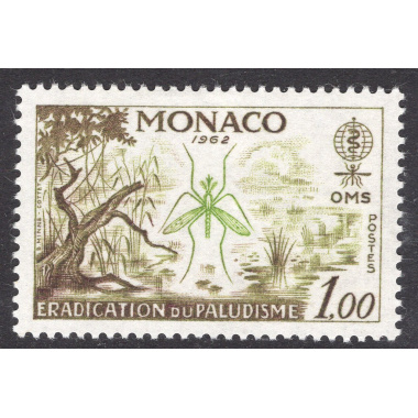 MONACO SCOTT 504