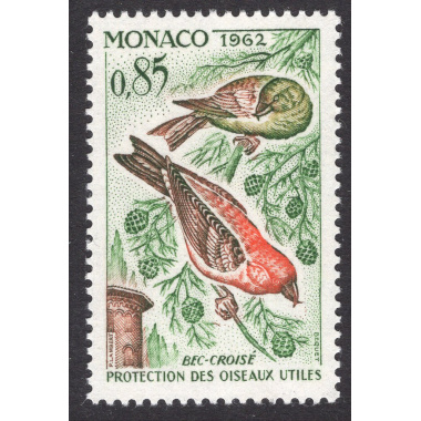 MONACO SCOTT 519