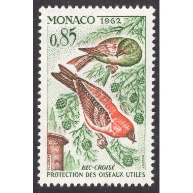 MONACO SCOTT 519