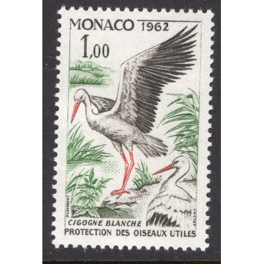 MONACO SCOTT 520
