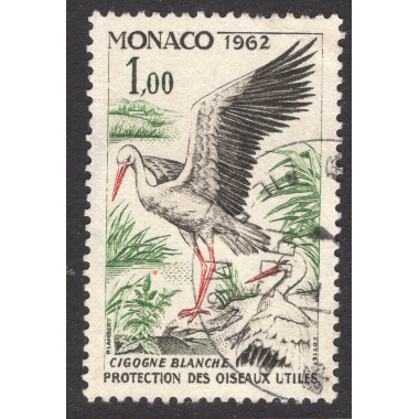 MONACO SCOTT 520