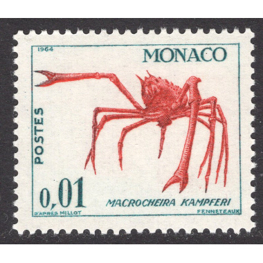 MONACO SCOTT 581