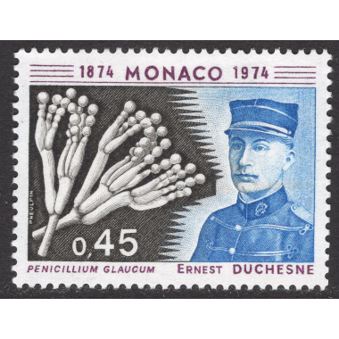MONACO SCOTT 908
