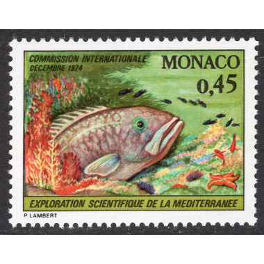 MONACO SCOTT 928
