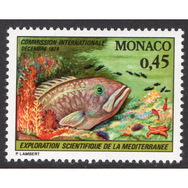 MONACO SCOTT 928
