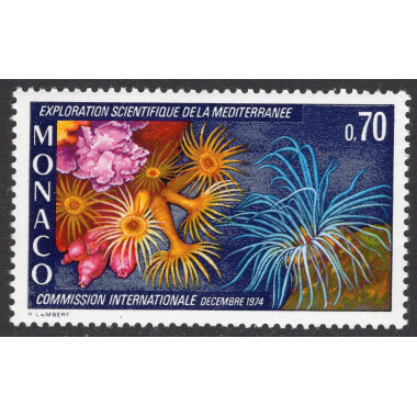 MONACO SCOTT 929