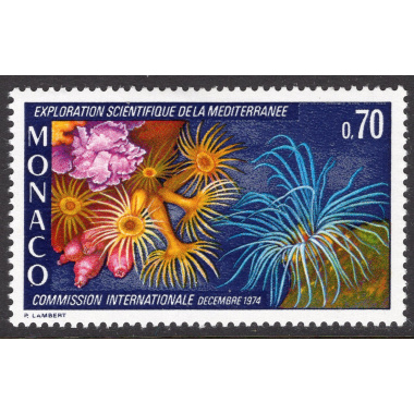 MONACO SCOTT 929