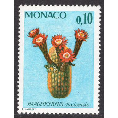 MONACO SCOTT 955