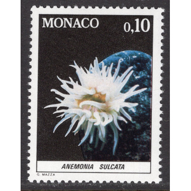 MONACO SCOTT 1260