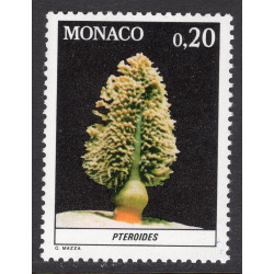 MONACO SCOTT 1262