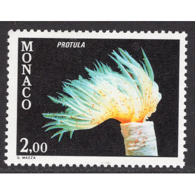 MONACO SCOTT 1269