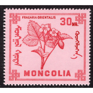 MONGOLIA SCOTT 479
