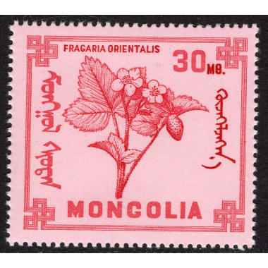 MONGOLIA SCOTT 479