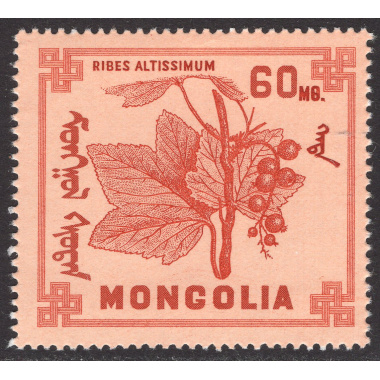 MONGOLIA SCOTT 480