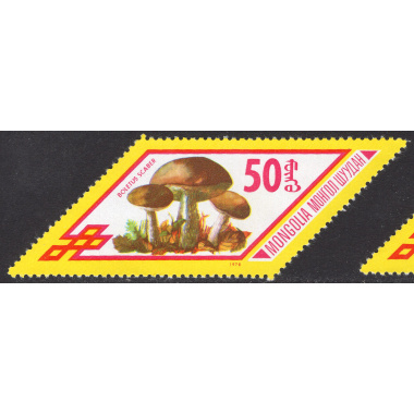MONGOLIA SCOTT 1007