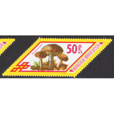 MONGOLIA SCOTT 1007