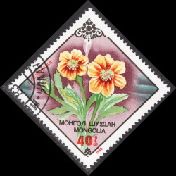 MONGOLIA SCOTT 1317